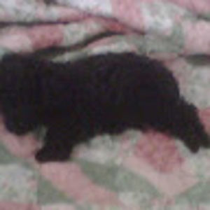 Meet your Posher, Theresa